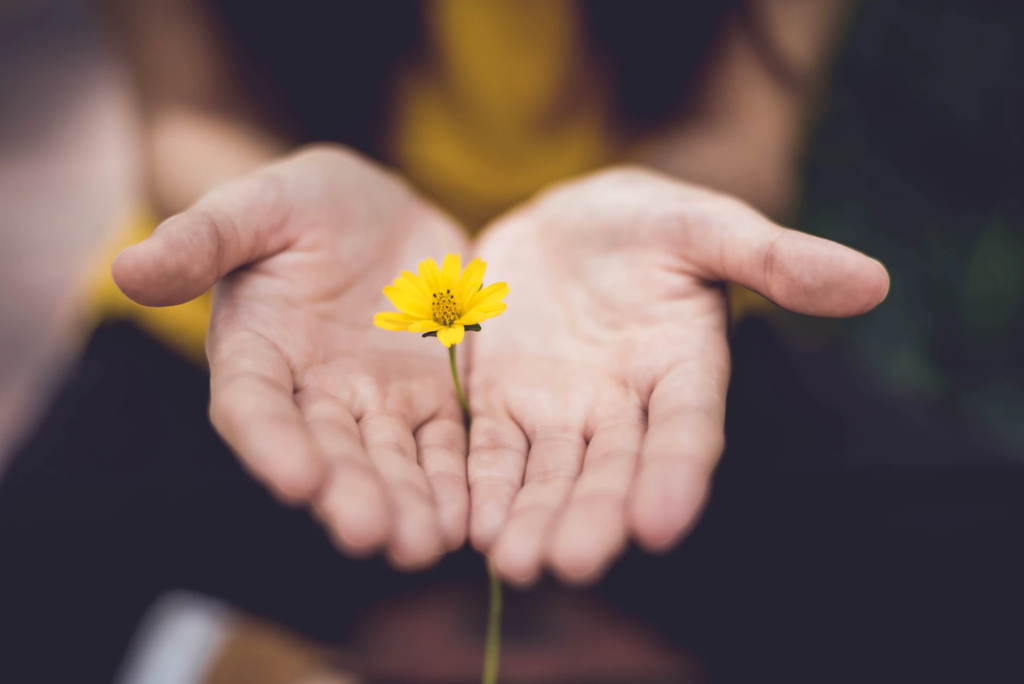 A person holding a yellow flower